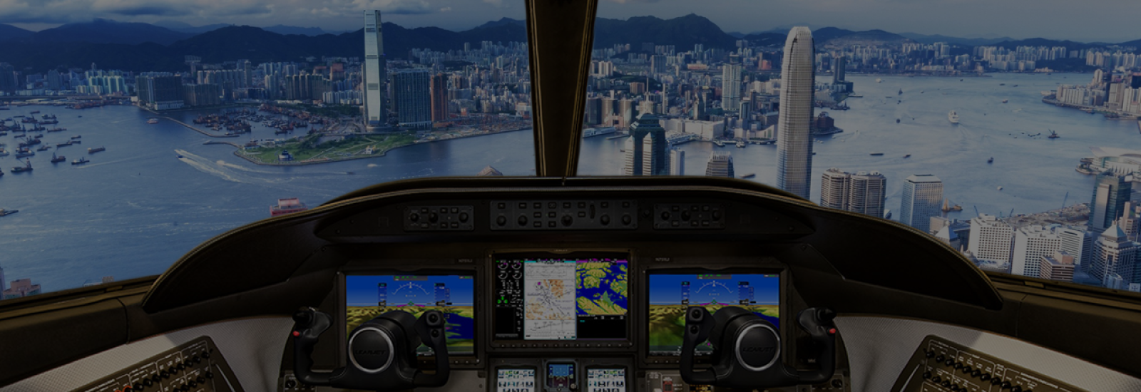 Introducing  Flight Simulator